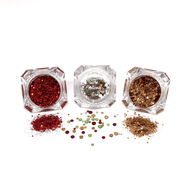 Mini Festive Cheer Christmas Nail Art Kit - The Unicorn's Dennail art kit