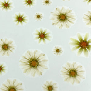 Daisies - Water Decals for Nails - The Unicorn's DenWater Decals