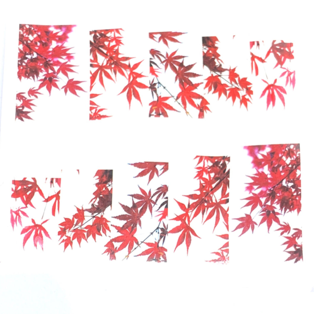 Japanese Acer - Water Decals For Nails - The Unicorn's Den